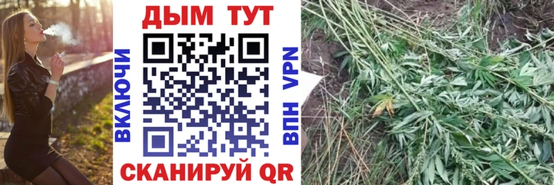 Бошки Шишки план  Углич 
